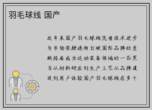 羽毛球线 国产