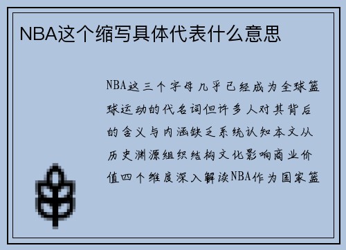 NBA这个缩写具体代表什么意思